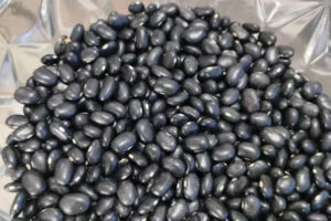 BLACK BEANS